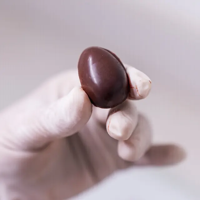 Chocolate funcional manipulado pronto para consumo
